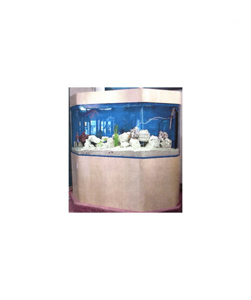 Морской-аквариум-шестиугольный-плоской-спины-CFB