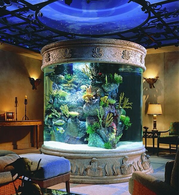 Round Cylindrical Aquariums Columns when there is no space