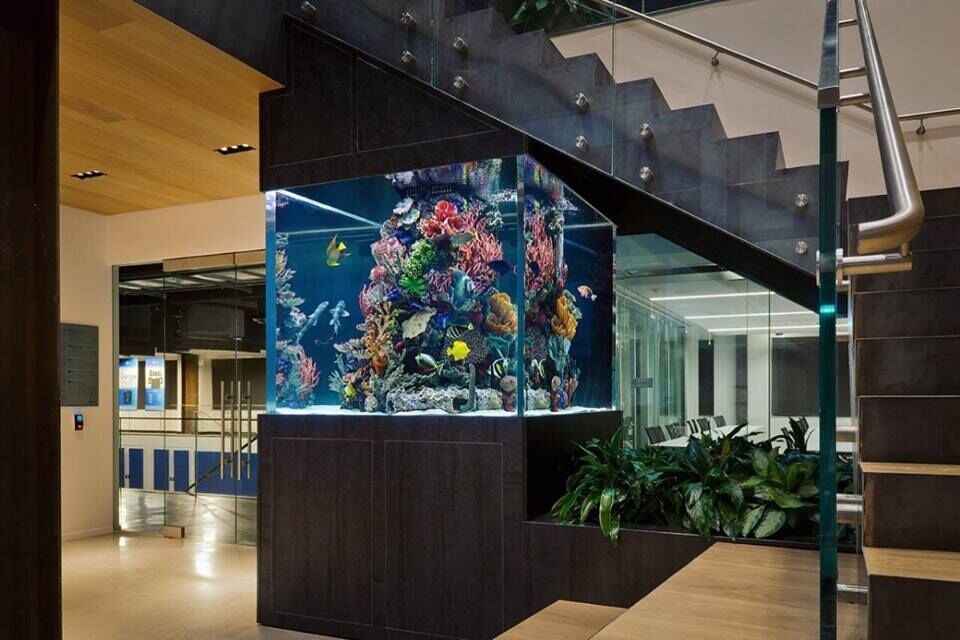 Acrylic Aquariums - Large Luxury Aquariums
