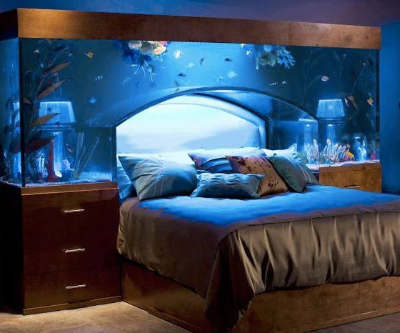 Aquariums in the Bedroom - Bedroom Aquariums