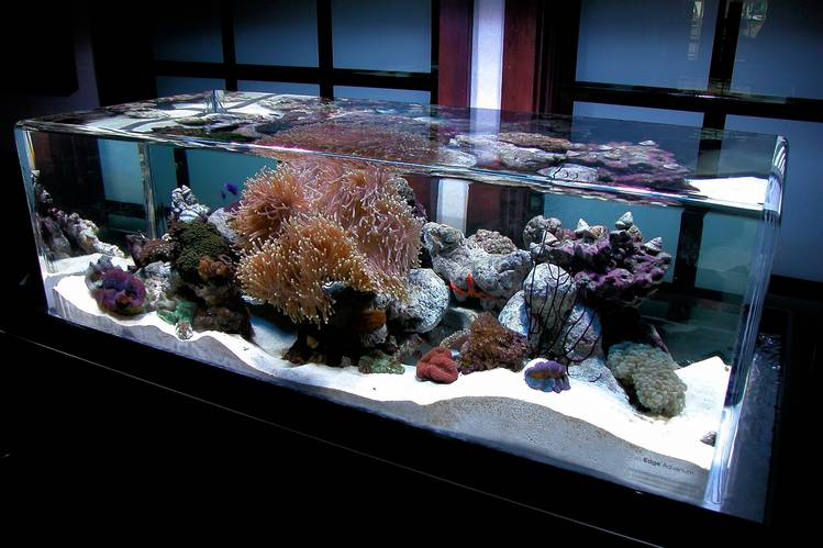 Acrylic Aquariums - a Drop of the Sea, Oceans of the Soul